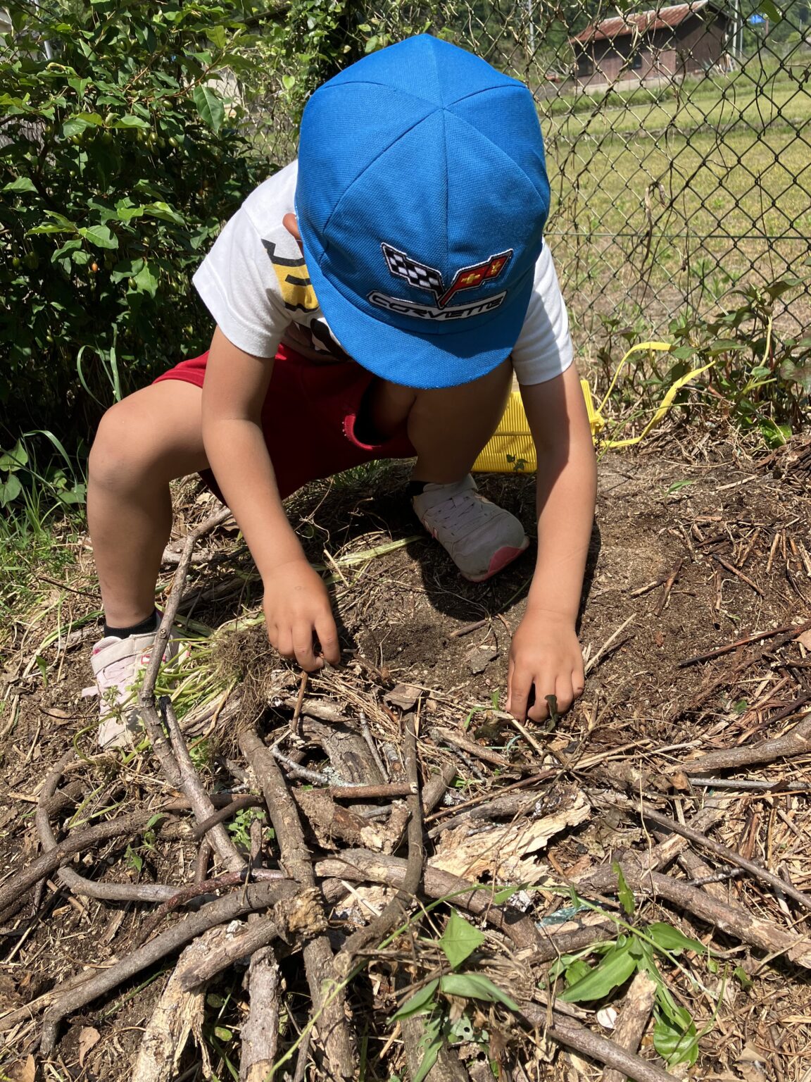 佐用町昆虫館・ひとはくコラボ企画！エコロコしぜんたいけんin佐用町5月18日(木)AM【利神保育園】 佐用町昆虫館オフィシャルブログ