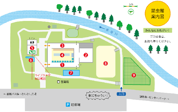 昆虫館施設図